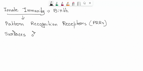 describe-how-cells-of-the-innate-immune-system-recognize-pathogens-16802