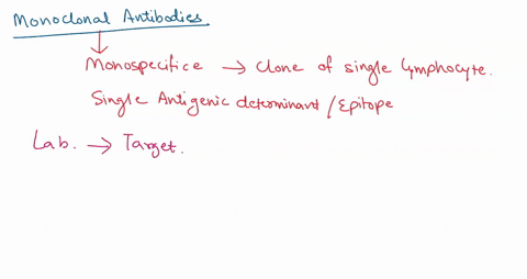 what-is-characteristic-of-monoclonal-antibodies-they-are-produced-by-different-antibody-producing-cells-and-are-specific-for-different-epitopes-of-antigen-they-are-produced-by-single-antibod-97646