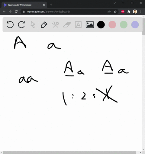 partial-question-11-26-pts-consider-an-autosomal-recessive-trait-martha-has-an-affected-sibling-fred-has-an-affected-uncle-for-all-questions-that-follow-do-not-do-any-math-show-any-individua-69255