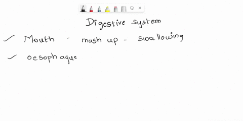 select-the-correct-sequence-of-structures-through-which-food-must-pass-in-the-mouse-digestive-system-mouth-oesophagus-duodenum-large-intestine_-anus-mouth-pharynx-liver-small-intestine-anus-32118