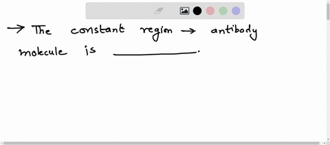 the-constant-region-of-an-antibody-molecule-is-________________-a-the-binding-site-for-antigens-b-part-of-the-heavy-chains-only-c-the-same-in-all-antibodies-of-a-certain-type-d-at-the-tips-o-39051