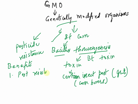 choose-one-gmo-and-research-the-benefits-and-risks-associated-with-it-summarize-your-findings-and-then-give-your-opinion-about-whether-this-is-a-good-technology-to-pursue-01412