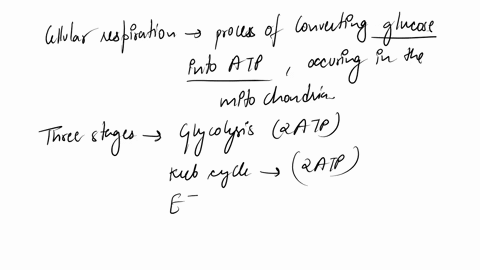 define-cellular-respiration-and-state-where-it-takes-place-identify-the-three-stages-of-cellular-respiration-how-many-molecules-of-atp-are-produced-in-each-stage-explain-how-cellular-respira-01866