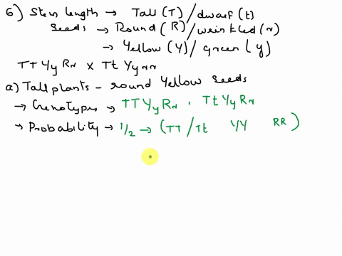 show-work-6in-peasstem-length-result-in-talltor-dwarf-t-plantsseeds-may-be-roundror-wrinkled-rand-seeds-may-be-yellowyor-greenyfrom-the-crosses-ttyyrr-x-ttyyrrwhat-proportion-of-the-offsprin-86077