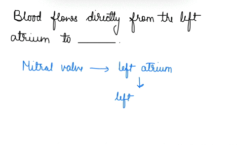 blood-flows-directly-from-the-left-atrium-to-_______-a-the-aorta-c-the-right-atrium-b-the-left-ventr-81187