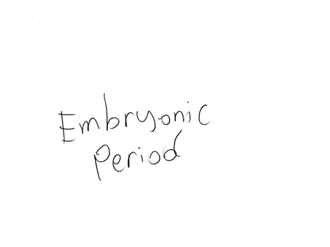sarah-is-in-her-first-trimester-which-phrase-best-describes-her-current-stage-group-of-answer-choices-embryonic-period-effacement-quickening-cognitive-maturation