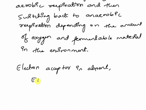 to-what-metabolic-pathways-would-a-facultative-anaerobe-shift-in-order-to-continue-to-generate-atp-if-the-final-electron-acceptor-is-absent-why-do-they-perform-this-entire-pathway-rather-tha-72396