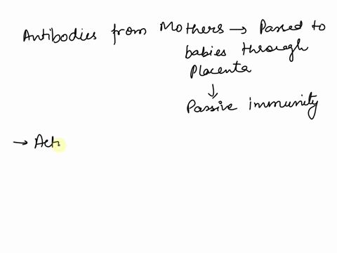 baby-receives-antibodies-from-its-mother-through-the-placenta-this-type-of-immunity-is-an-example-of-select-one-naturally-acquired-active-immunity-b-naturally-acquired-passive-immunity-artif-58266