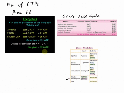 6-3-pts-how-many-atps-would-be-generated-by-the-complete-oxidation-of-the-fatty-acid-using-p-oxidation-the-citric-acid-cycle-and-oxidative-phosphorylation-61759