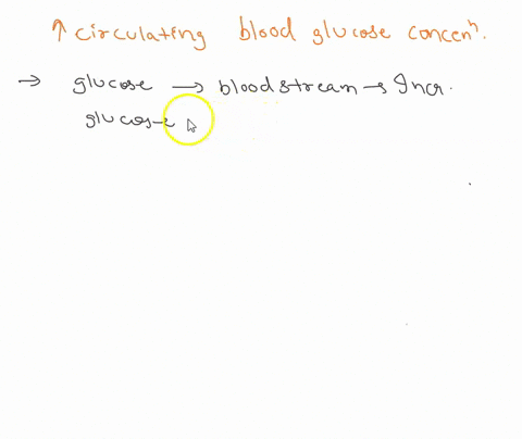 1following-a-meal-containing-carbohydrates-glucose-enters-bloodstream-and-increases-circulating-blood-glucose-concentration-describe-the-changes-in-the-levels-of-major-hormonal-regulators-in-65828