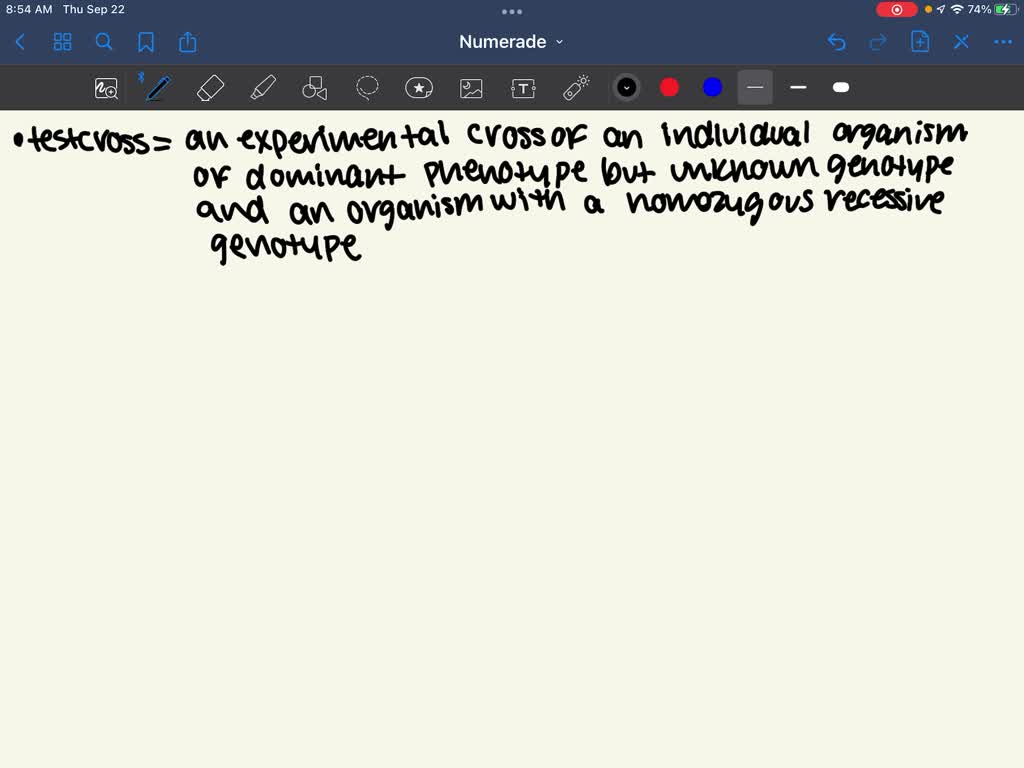 Solved how does a test cross help determine the genotype of a dominant