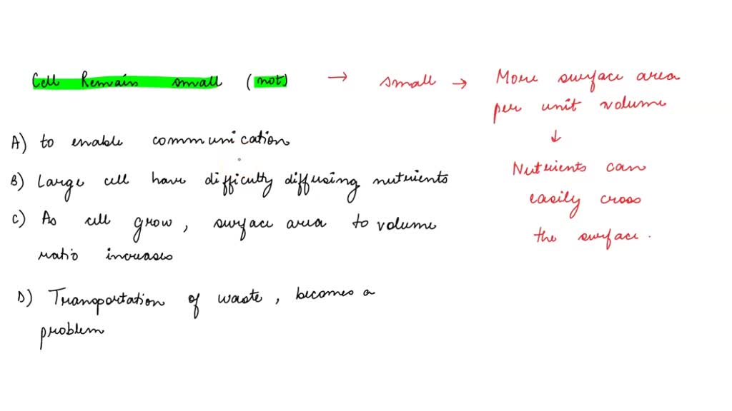 SOLVED: Which is not a reason why cells remain small? A. Cells remain ...