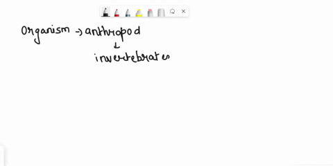 a-terrestrial-animal-species-is-discovered-with-the-following-characteristics-exoskeleton-system-of-tubes-for-taking-in-oxygen-and-body-segments-and-jointed-appendages-a-knowledgeable-zoolog-22804