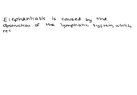 what-is-elephantiasis-2