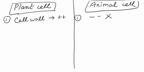 describe-3-differences-between-a-plant-cell-and-an-animal-cell-1-2-3-10122