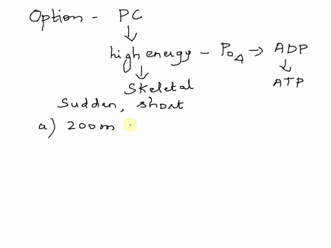 which-is-primarily-fueled-by-atp-derived-from-phosphocreatine-breakdown-0a-200-m-sprint-24-seconds-a-set-of-10-repetitions-of-bench-press-40-seconds-to-complete-vertical-jump-less-than-1-sec-43501