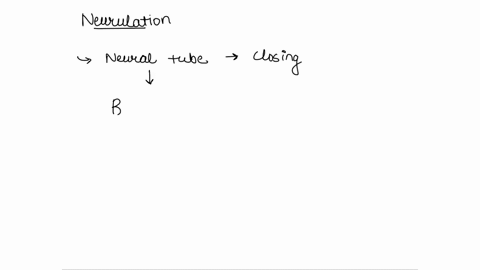 question-5-1-point-listen-which-statement-about-the-end-stages-of-neurulation-is-false-failure-of-the-neural-tube-to-close-at-the-rostral-end-is-lethal-the-neural-tube-zips-closed-from-both-97297