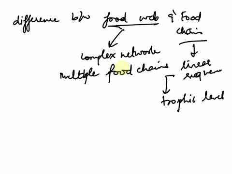 what-is-the-difference-between-a-food-web-and-a-food-chain-why-do-you-think-that-we-very-seldom-see-food-chains-longer-than-4-levels-why-do-food-webs-and-food-chains-depend-on-primary-produc-79822