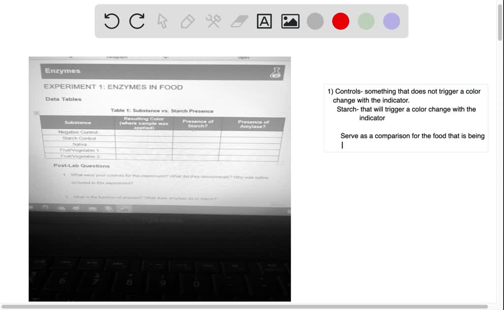 SOLVED Enzymes EXPERIMENT 1 ENZYMES IN FOOD Data Tables Table