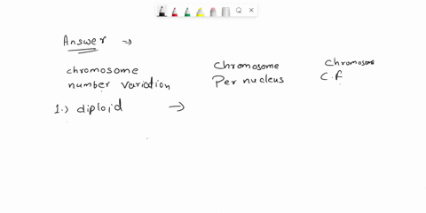 practice-problems-6-chromosome-variation-in-number-the-haploid-number-of-chromosomes-of-chrysanthemum-is-7-complete-the-following-table-for-chromosome-variation-number-of-chromosomes-and-the-41933