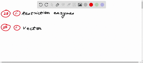 during-recombinant-dna-technology-which-structure-is-used-to-cut-the-dna-at-a-specific-site-restriction-enzymes-dna-ligase-dna-helicase-vector-during-recombinant-dna-technology-what-structur-32542