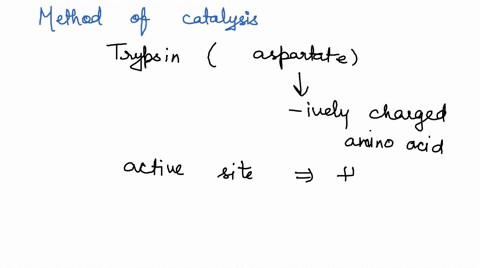 below-is-the-catalytic-mechanism-of-trypsin-protease-oiten-used-in-biochemistry-to-cut-proteins-into-fragments-for-analysis_-please_identify_the_methods-catalysis_used-bach-step-trypsin-mech-04629