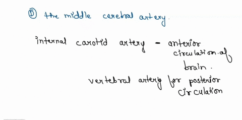 which-of-the-following-arteries-arises-from-the-anterior-blood-supply-setect-an-answer-and-submit-for-keyboard-navigation-use-the-upldown-arrow-keys-to-select-an-answer-the-anterior-inferior-57081