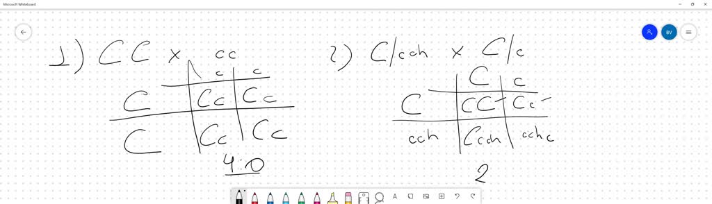 solved-multiple-alleles-9-rabbit-coat-color-coat-color-in-rabbits-is