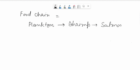 what-would-most-likely-happen-if-the-number-of-salmon-decreased-a-the-plankton-population-would-rise-b-the-shrimp-population-would-decrease-c-the-shrimp-population-would-increase-d-salmon-wo-40853
