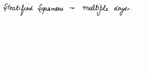 4having-multiple-layers-of-flat-cells-against-a-free-surlace-describes-which-of-the-following-view-available-hints-stratified-cuboidal-epithelium-pseudostratilied-squamous-epithelium-simple-81361