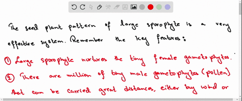 list-the-evolutionary-advantages-of-dominant-sporophyte-in-plants-12429