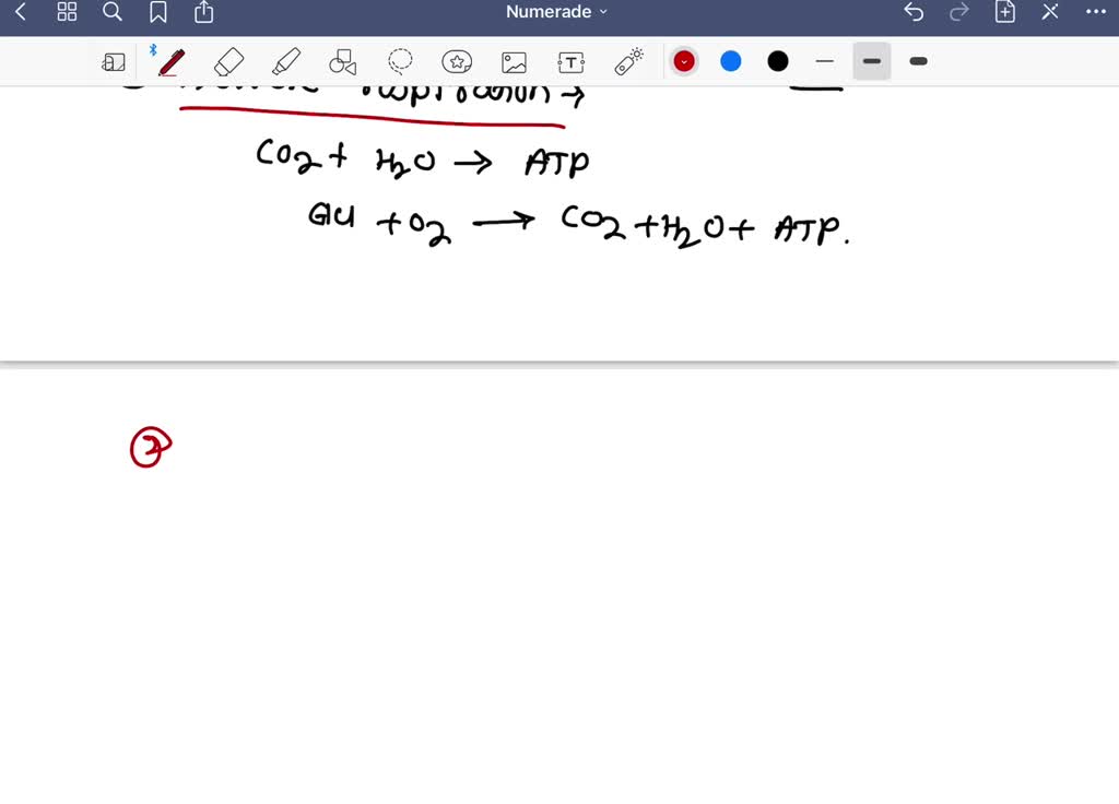 Solved explain the three pathways of breakdown of glucose in living