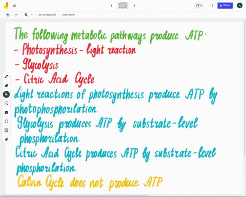 which-of-the-following-metabolic-pathways-produce-atp-select-all-correct-answers-photosynthesis-light-reaction-glycolysis-citric-acid-cycle-photosynthesis-calvin-cycle-41355