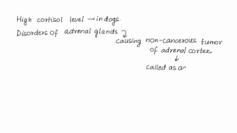 a-dogs-pituitary-gland-produces-the-hormone-acth-which-stimulates-the-adrenal-glands-to-secrete-cortisol-cortisol-helps-regulate-body-weight-mineral-balance-the-structure-of-connective-tissu-77339