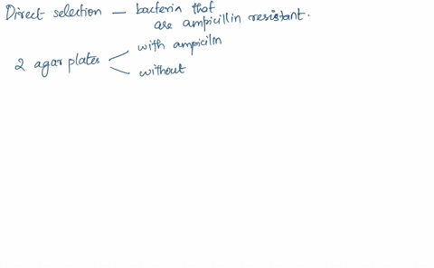 using-direct-selection-how-would-you-attempt-to-identify-a-colony-of-bacteria-that-is-resistant-to-the-antibiotic-ampicillin-79046