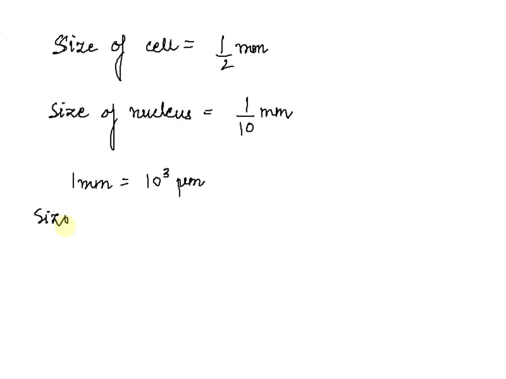 solved-problem-3-what-is-the-size-of-the-nucleus-in-micrometers-what