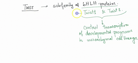 what-is-the-mechanism-of-action-for-twist-25268