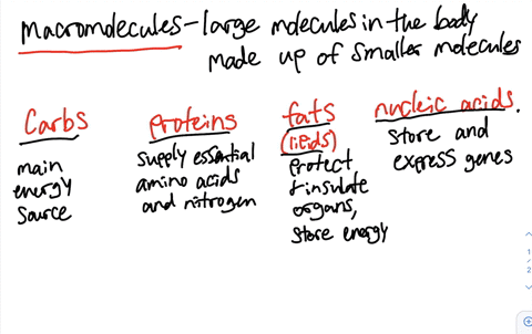 why-is-it-important-to-know-which-macromolecules-are-in-the-foods-you-eat-32008