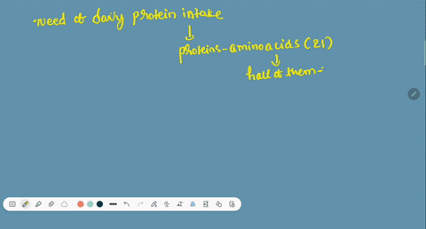 eating-protein-regularly-is-of-utmost-importance-because-08703