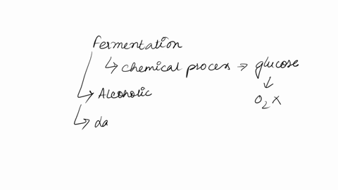 one-of-the-following-is-not-an-end-product-of-fermentation-a-nadh-b-lactic-acid-catp-d-alcohol-06154