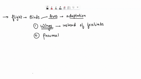 12pt-edit-list-the-view-quastion-15-paragraph-insert-adaptations-format-tools-that-allow-for-flight-ic-table-in-birds-2-7-19082
