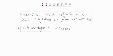 in-general-what-are-the-effects-of-histone-acetylation-and-dna-methylation-on-gene-expression-14894