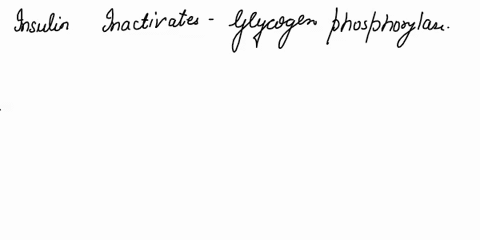 insulin-a-inactivates-glycogen-phosphorylase-b-activates-urea-cycle-c-stimulates-gluconeogenesis-d-inactivates-glycolysis-in-liver-24654
