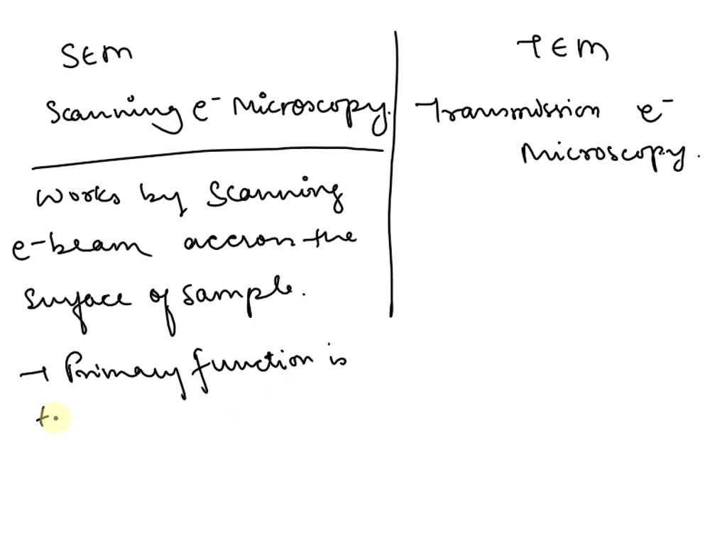 SOLVED: Electron Microscopy: What Is The Difference Between SEM And TEM ...