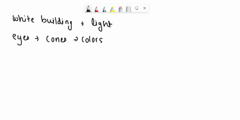 what-are-the-color-receptors-in-your-eyes-perceiving-if-you-see-a-white-building-a-all-of-the-color-receptors-in-your-eyes-are-equally-stimulated-when-you-see-the-color-white-b-only-cones-ar-63725