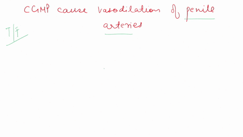 question-70-cgmp-causes-vasodilation-of-the-penile-arteries-true-0-false-22783