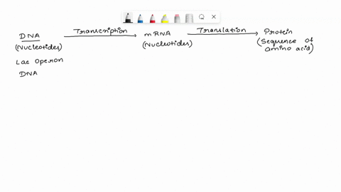 which-of-the-following-statements-is-true-of-a-promoter-ait-is-the-part-of-a-structural-gene-that-codes-for-trna-bnone-of-these-cthe-promoter-for-each-gene-is-unique-dthere-is-a-common-promo-15147