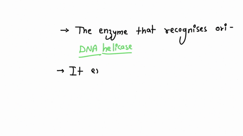 1-the-origin-of-replication-ori-is-a-site-on-the-plasmid-for-a-bacterial-enzyme-what-type-of-enzyme-recognizes-that-site-and-why-is-an-ori-essential-for-the-plasmid-2-in-the-multiple-cloning-75613