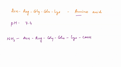 for-the-following-sequence-a-what-is-the-net-charge-and-draw-the-peptide-at-the-ph-74-blabel-n-terminus-and-c-terminus-sequence-asn-arg-gly-glu-lys-55204