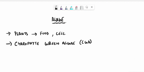 what-group-of-algae-is-most-closely-related-to-vascular-plantswhat-scientific-evidence-supports-your-answer-23187